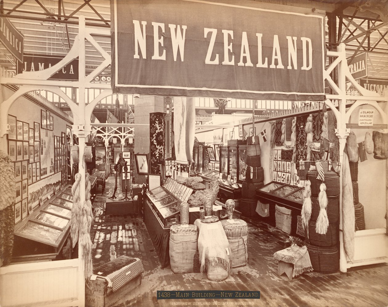 新西兰，百年国际展览，1876年（蛋白印刷） 作者 美国摄影师