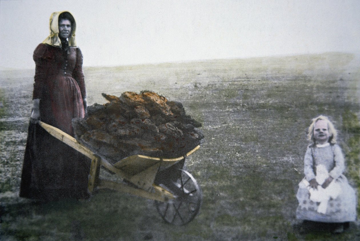 收集牛粪的女先锋，堪萨斯州，约1880年（彩色照片）。 作者 美国摄影师