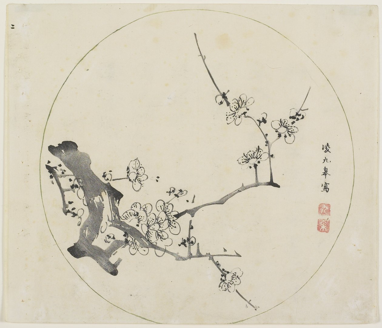 （梅花枝） 作者 美国学校