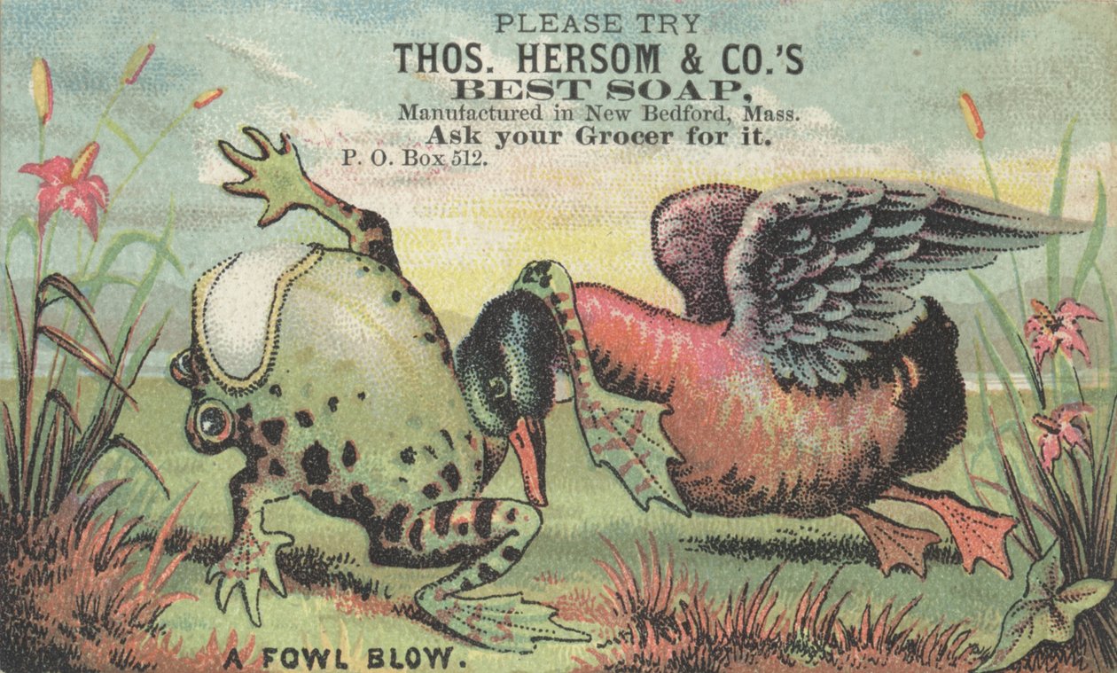 A Fowl Blow，Thos的广告。 Hersom＆Cos Best Soap，c.1880 作者 美国学校