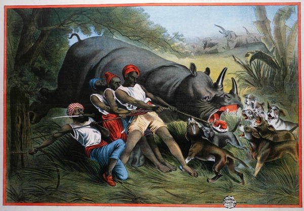 猎杀犀牛 (chromolitho) 作者 美国学校