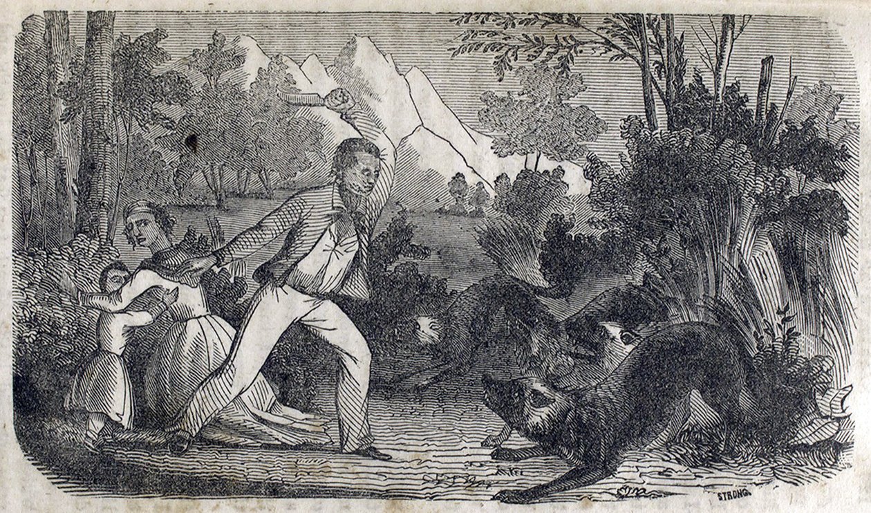 A man standing in front of a woman and child fighting off dogs 作者 美国学校