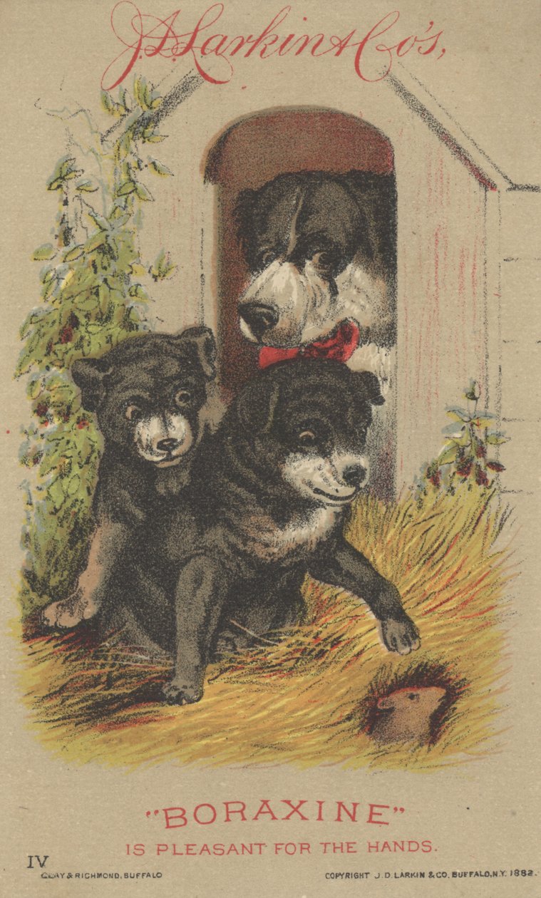 JD Larkin＆Cos Boraxine的广告，1882年 作者 美国学校