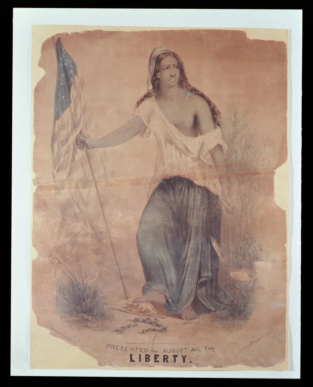 代表自由的美国内战海报，由霍夫曼雕刻，1870年 作者 美国学校