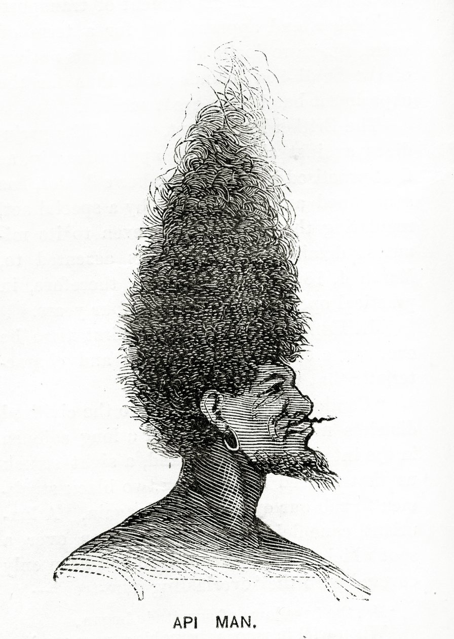 Api Man，插图来自Appletons Journal，1872年5月4日 作者 美国学校