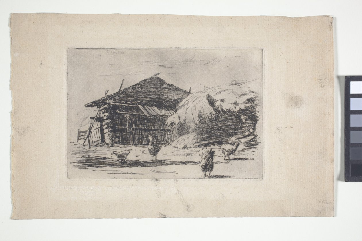 畜牧场（墨水） 作者 美国学校