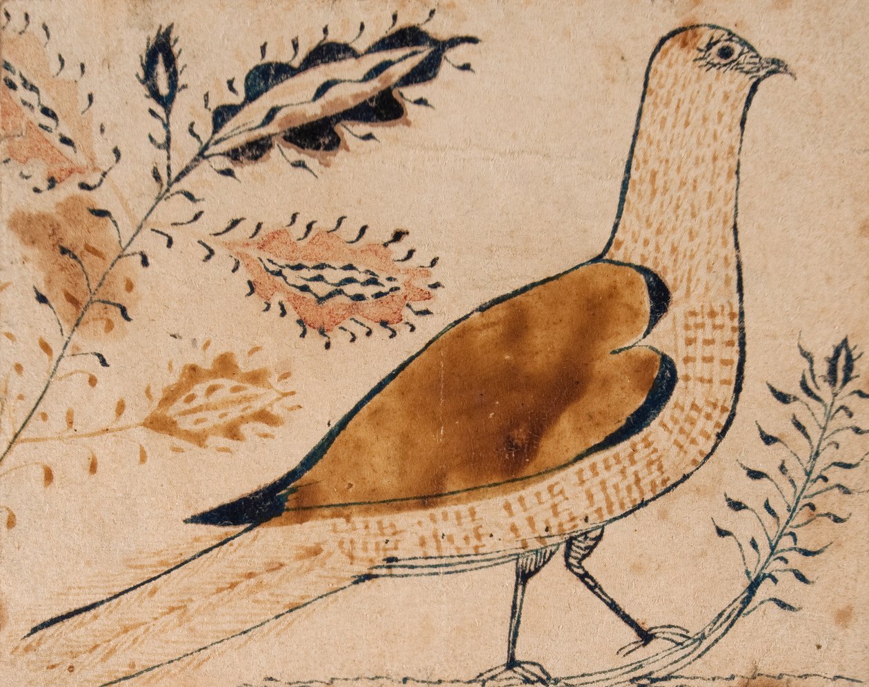 鸟 作者 美国学校