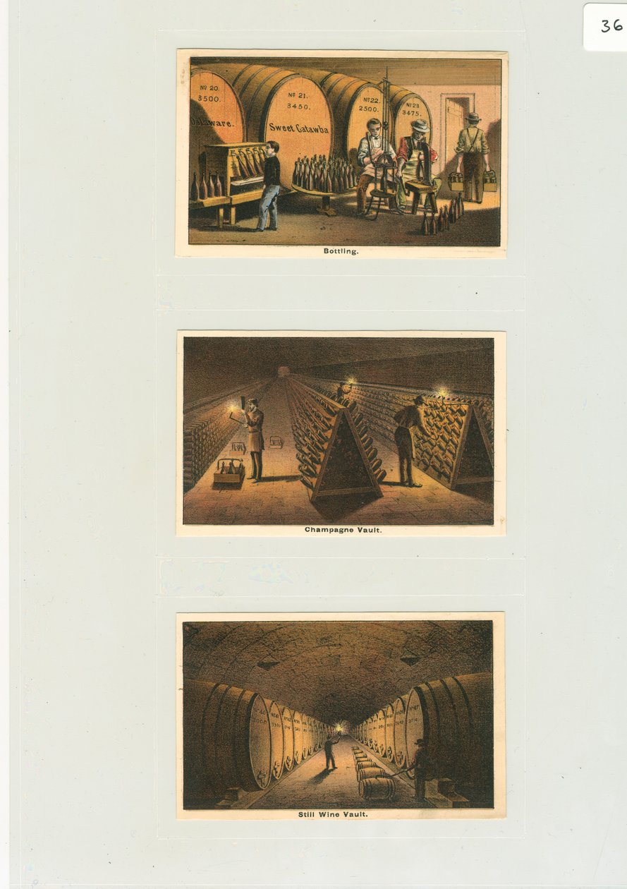装瓶 "和香槟酒库，一家酒厂的贸易卡，约1876年（彩色平印）。 作者 美国学校