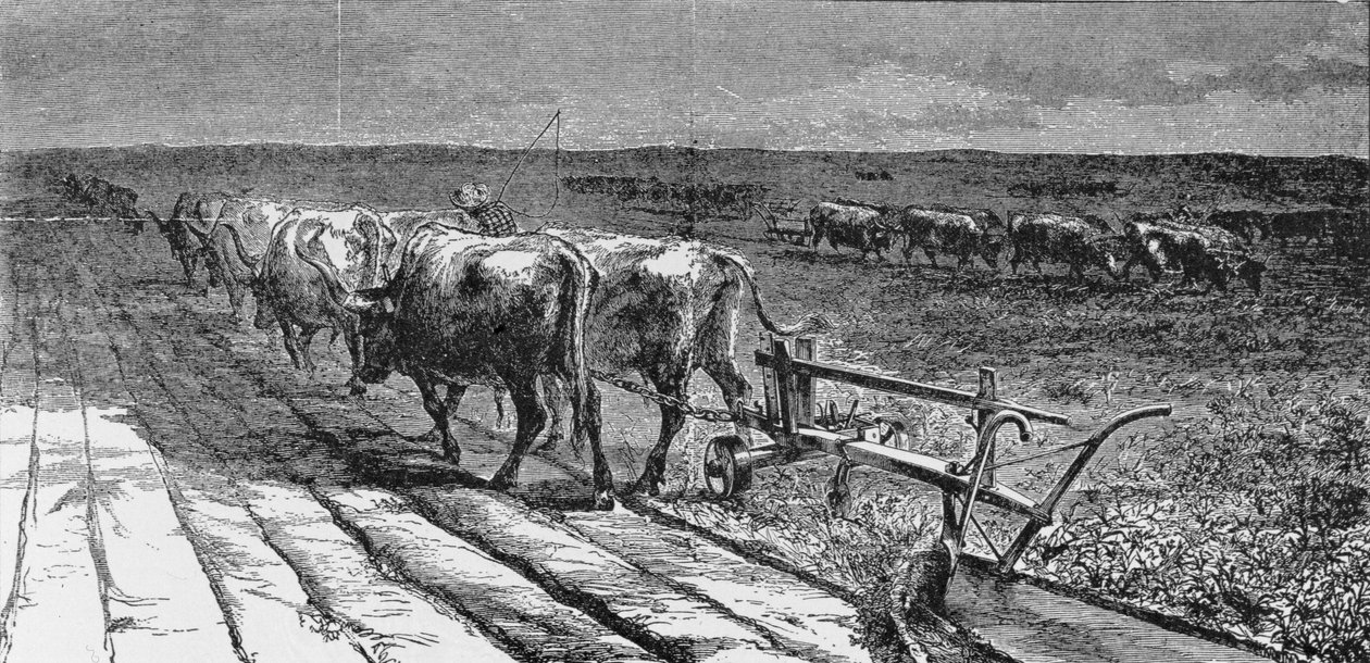 打破大草原，1871年“哈珀周刊”中的插图，来自“美国的选美，第3卷”，作者：拉尔夫亨利加布里埃尔，1926年 作者 美国学校