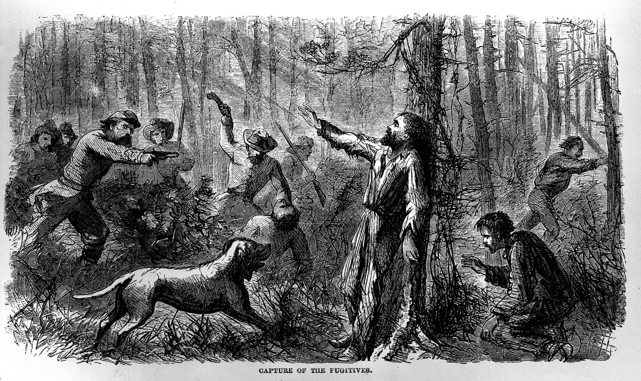 从艾伦·阿博特（Allen O. Abbott）撰写并于1865年出版的南方监狱生活中捕获逃犯 作者 美国学校