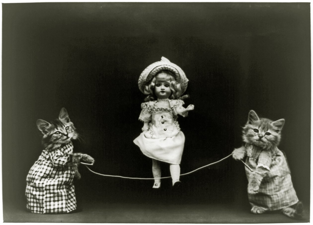 猫好奇，1891年 作者 美国学校