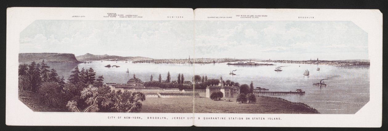 纽约市，布鲁克林，泽西市和斯塔滕岛的检疫站，约1850年（彩色平版印刷）。 作者 美国学校