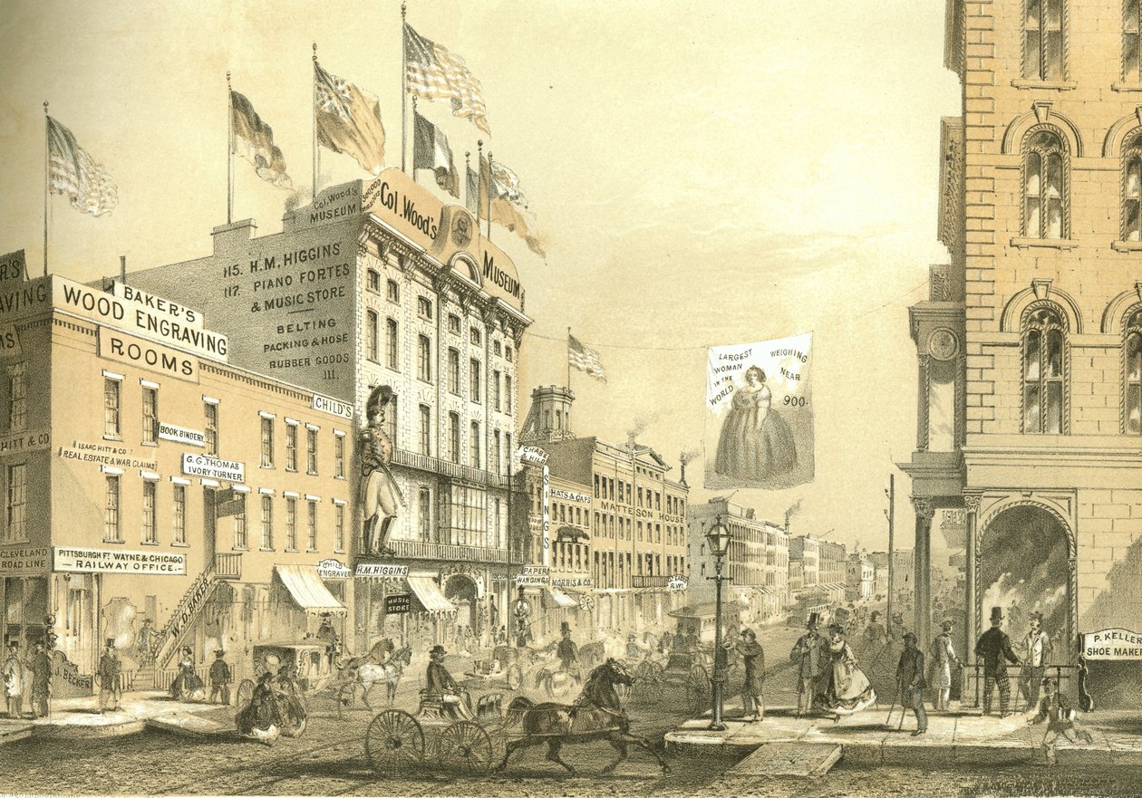来自芝加哥画报的Col. Woods博物馆，由James W. Sheahan撰写的文学描述，由芝加哥Jevne＆Almini出版，1866-67 作者 美国学校