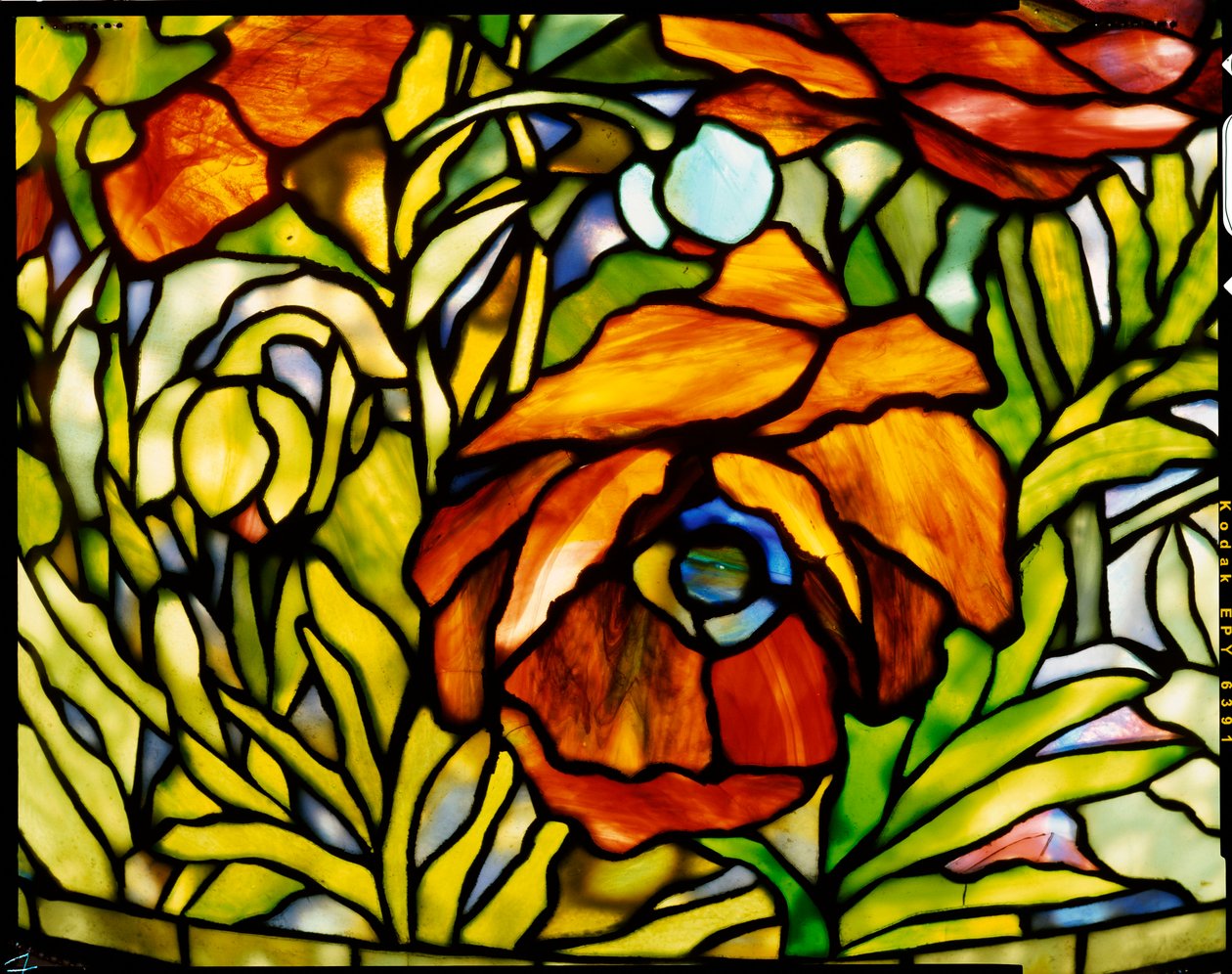 Tiffany Studios，“东方罂粟”落地灯的细节，1902年 作者 美国学校