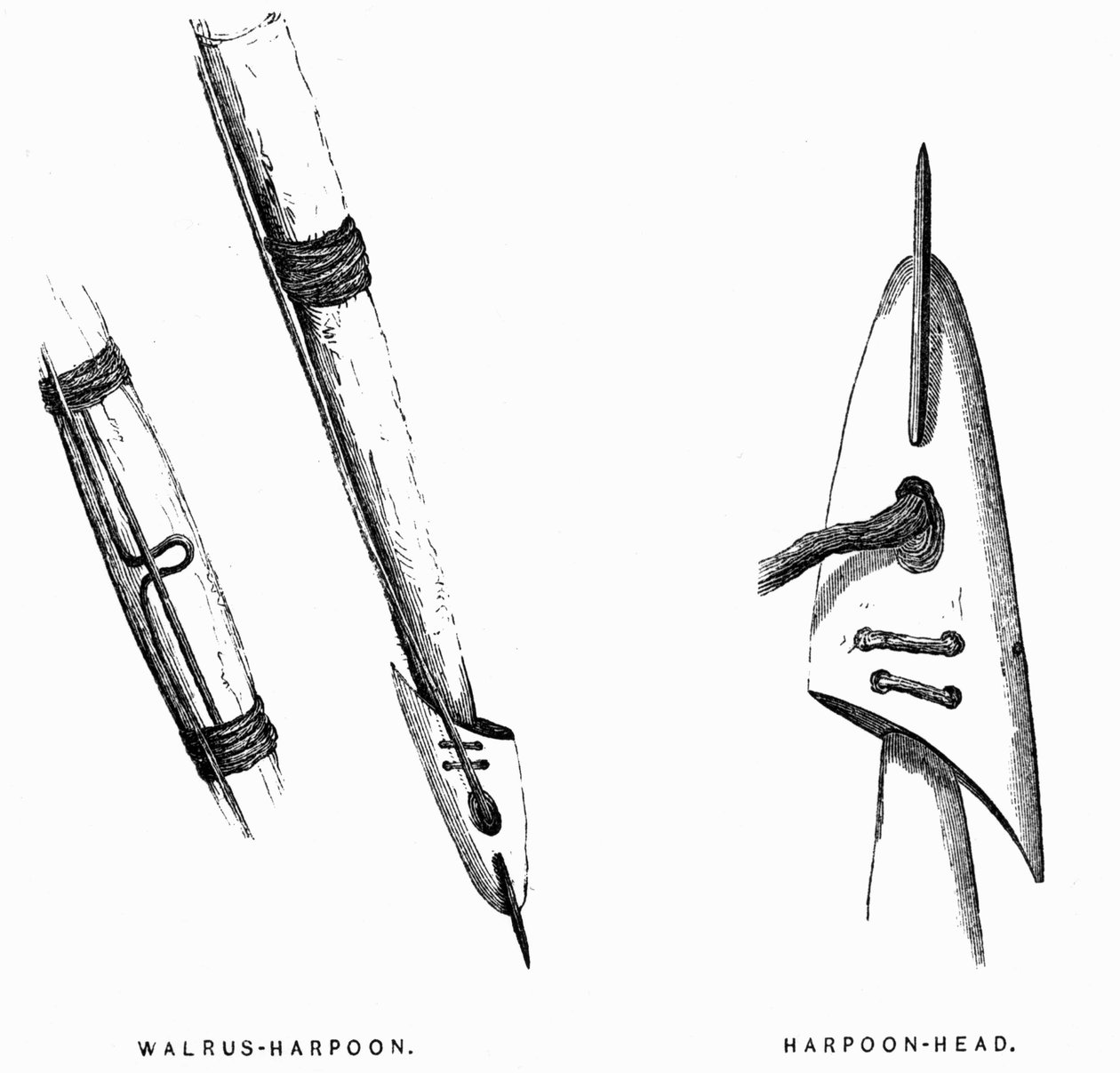 Eskimo Hunting Tools: Harpoons - Elisha Kent Kane, Artic Exlorations in the Years 1853-1855, vol. 1, p. 412, Philadelphia 作者 美国学校