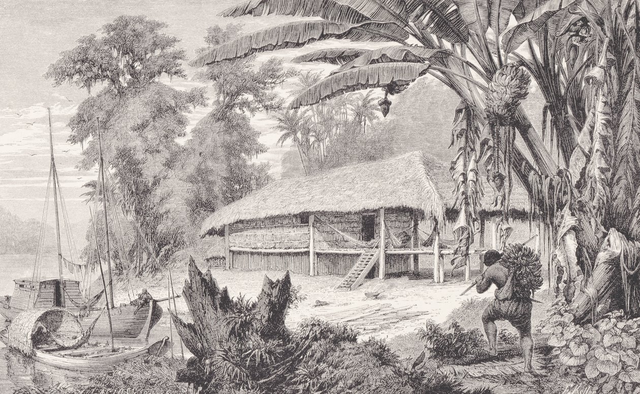 1874年弗兰兹凯勒（Franz Keller）的“亚马逊河和马德拉河”（The Amazon and Madeira Rivers）中富有的印度橡胶收藏家 作者 美国学校