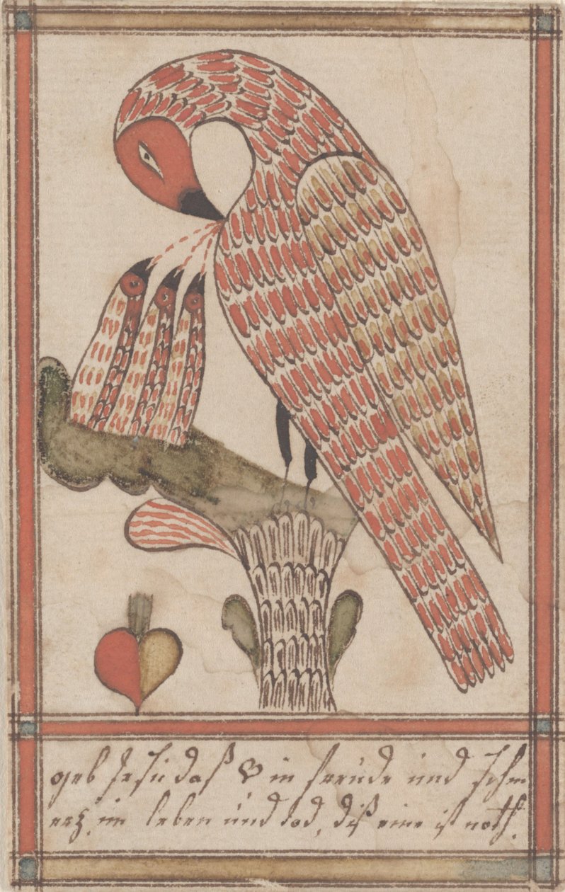 鹈鹕在它的虔诚，c.1800（墨水和纸上的wc） 作者 美国学校