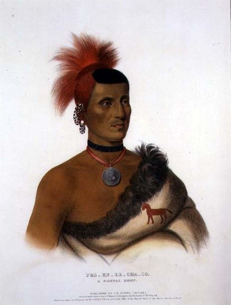 Pes-ke-Le-Cha-Co，波尼族酋长，由J.T.Bowen（1801-1856）出版，1841年（彩色平印）。 作者 美国学校