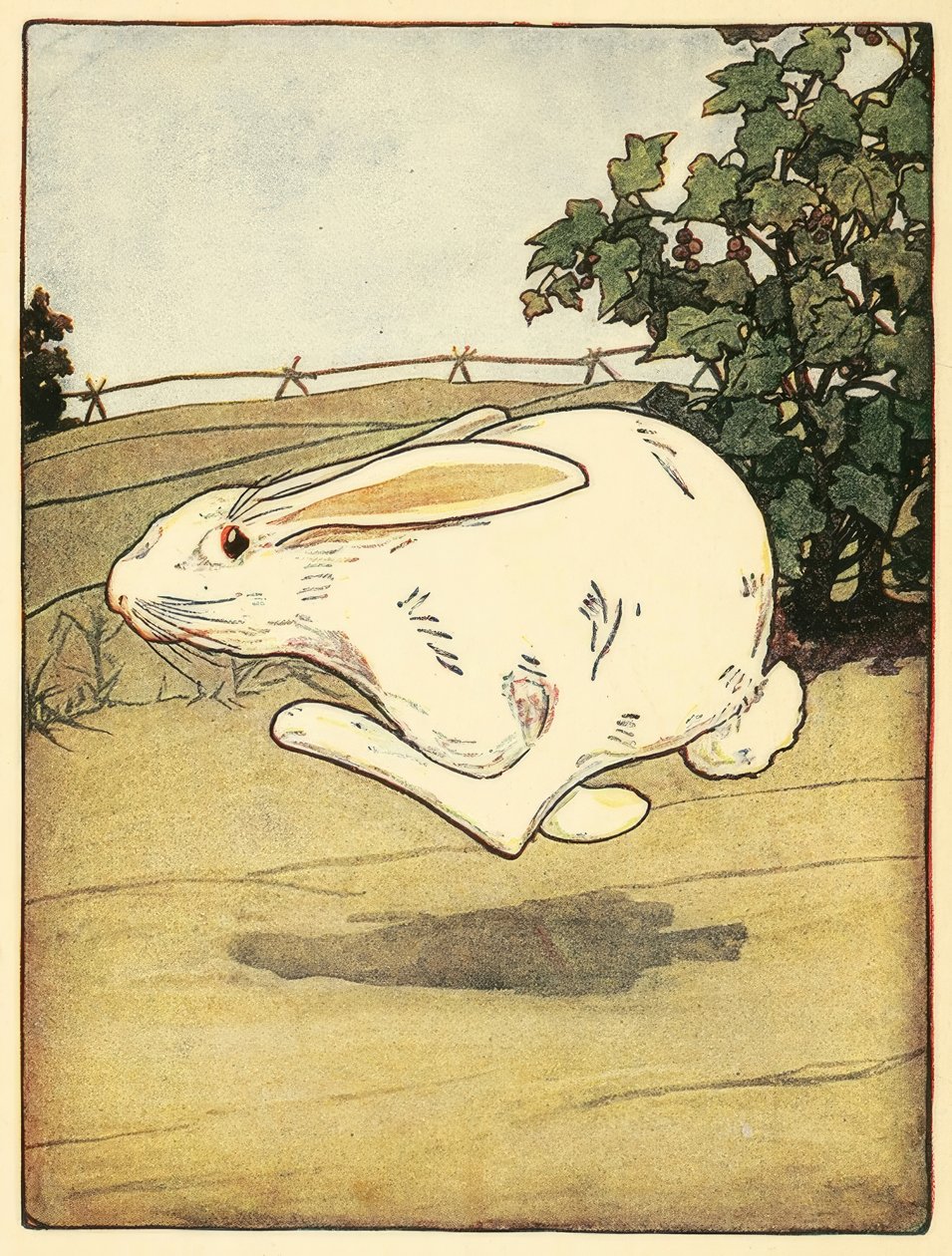 Peter never stopped running, from The Tale of Peter Rabbit 作者 美国学校