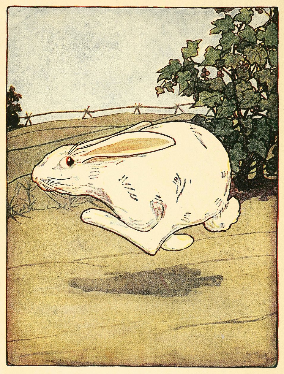 彼得从未停止过奔跑，出自《彼得兔的故事》，出版。1916年彩色石版画，1916年。 作者 美国学校