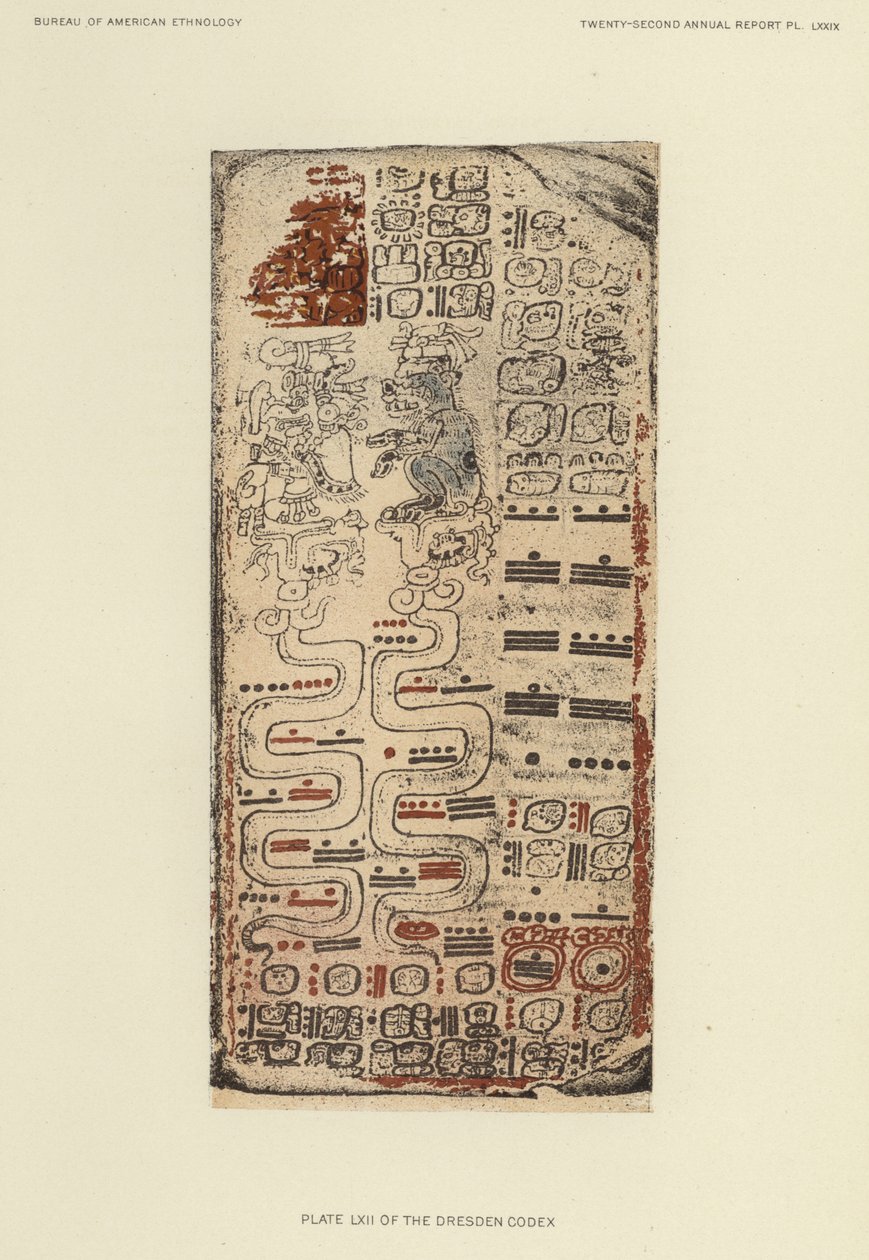 德累斯顿手抄本》第 LXII 版（彩色石版画） 作者 美国学校