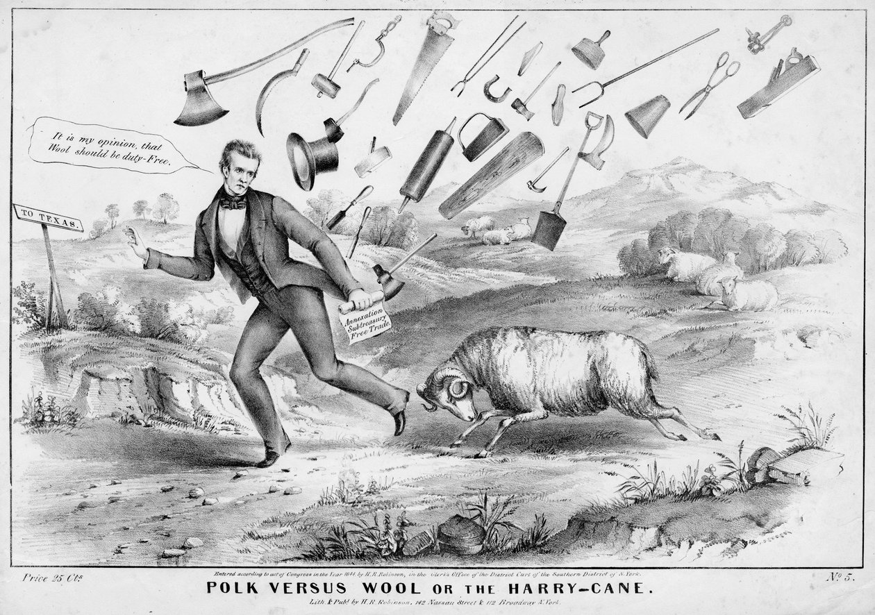 Polk与羊毛，或者The Harry-cane，由HR Robinson，纽约出版，1844年 作者 美国学校
