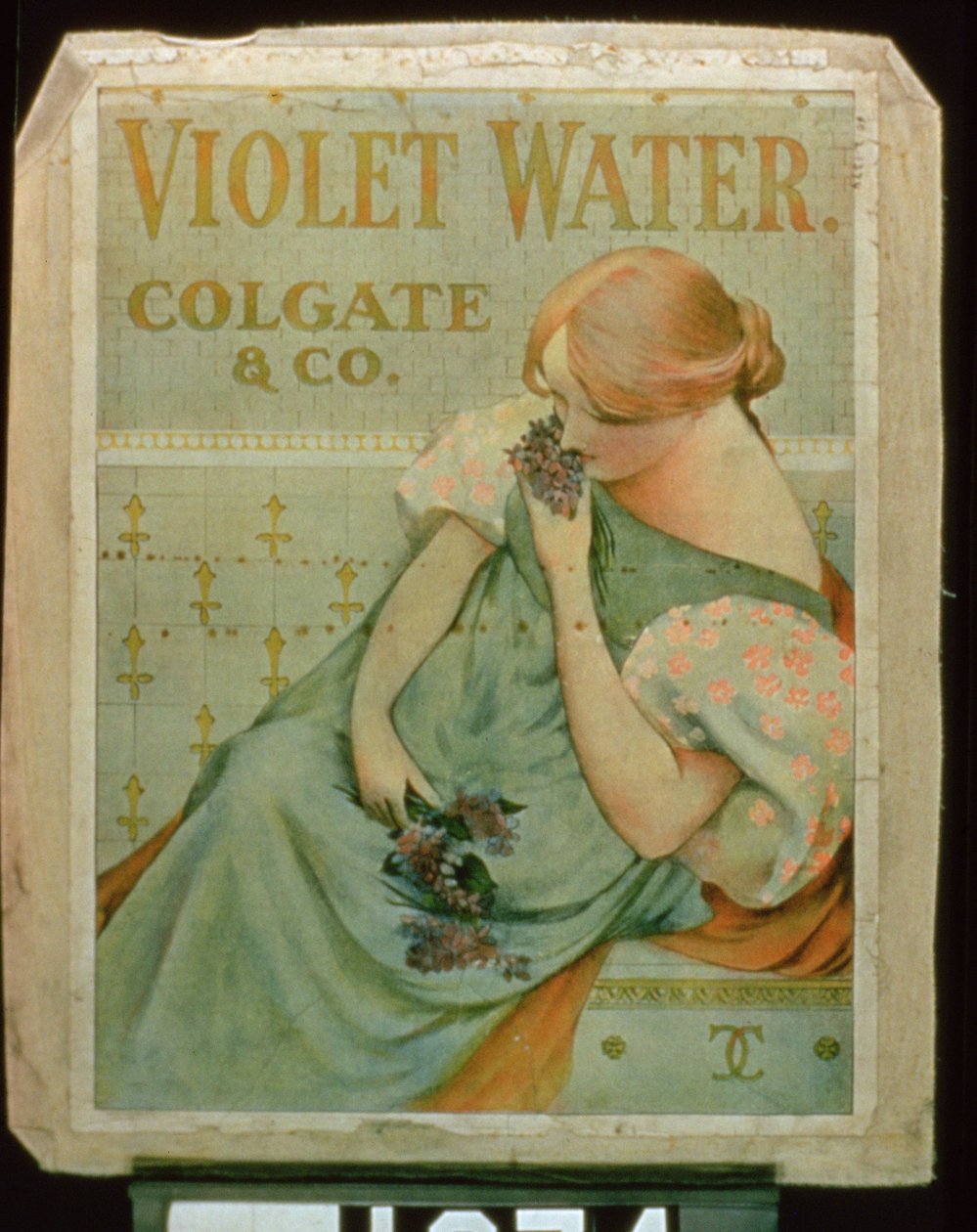 海报广告Violet Water，由Colgate＆Co。提供 作者 美国学校