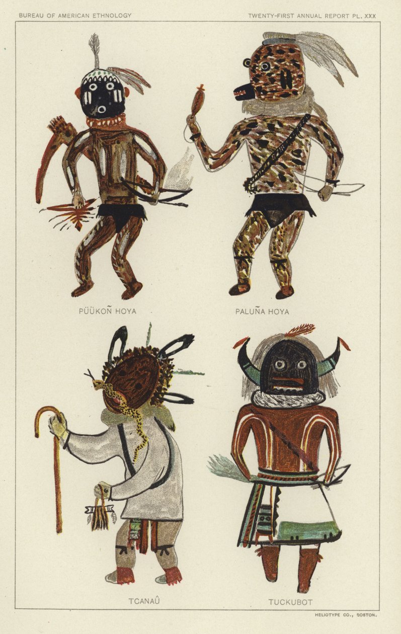 Puukon Hoya、Paluna Hoya、Tcanau、Tuckubot（彩色印刷版） 作者 美国学校