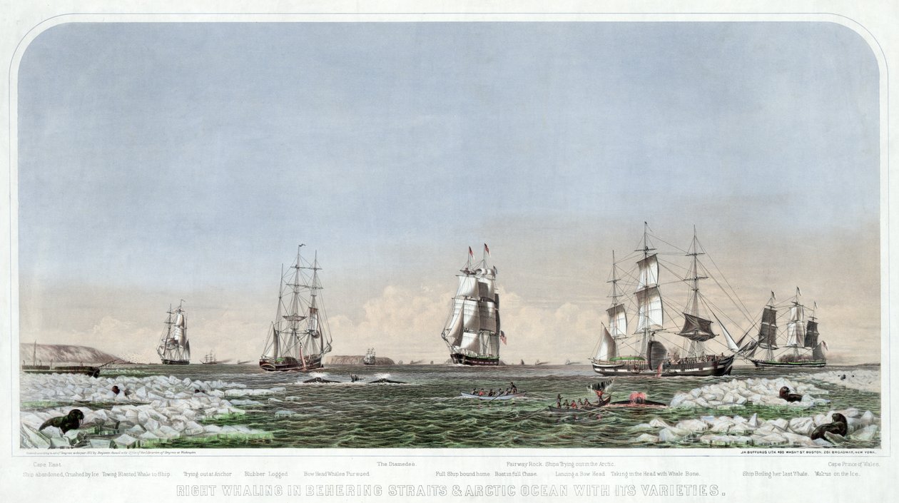 贝林海峡和北冰洋的捕鲸活动及其变化》，出版。1871. 作者 美国学校