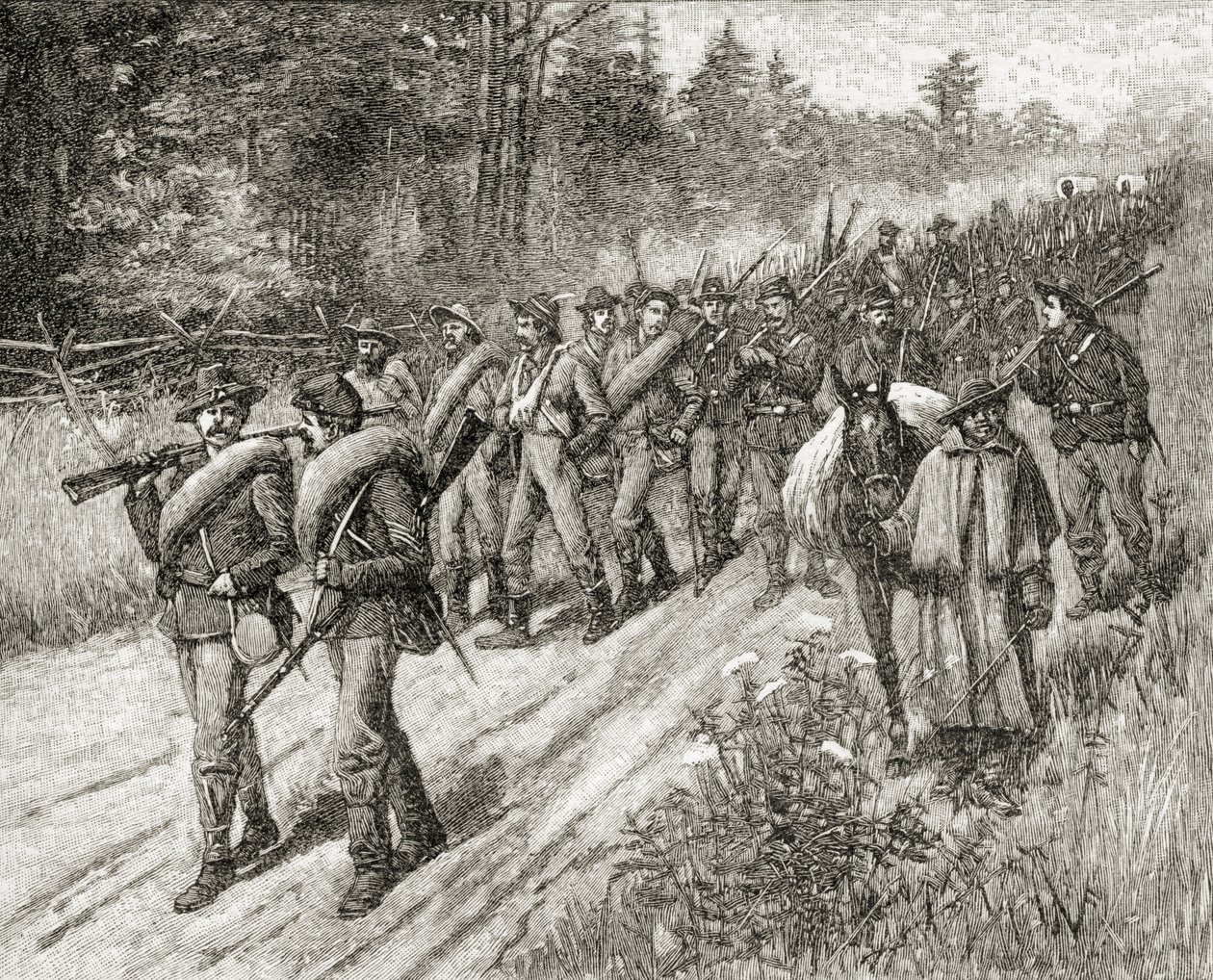 1865年，谢尔曼军队在1885年由AS Barnes und Co.出版的“美国简史”中向海进军 作者 美国学校
