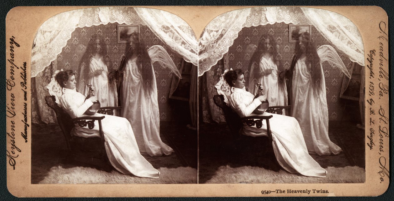 The Heavenly Twins，1899（立体摄影） 作者 美国学校