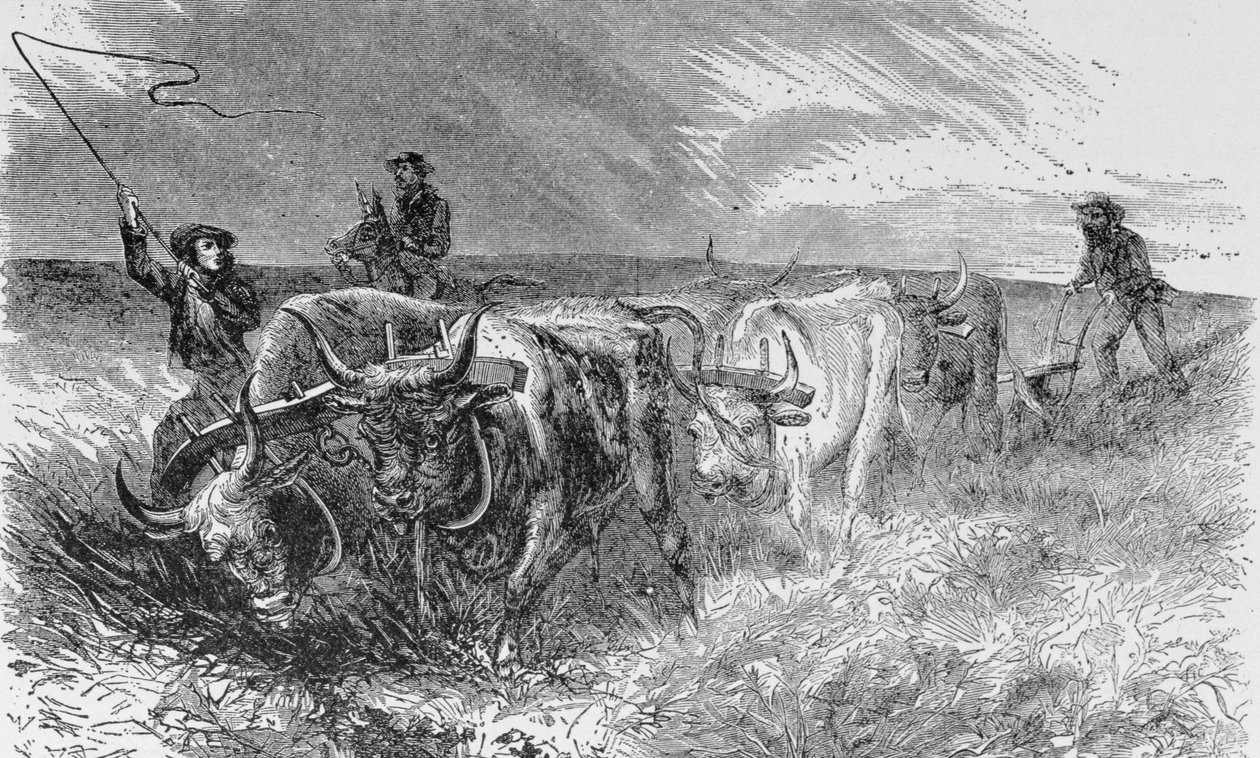 The Prairie Sod Plough，1868年来自&39;Harper&39;s Weekly&39;的插图，来自&39;The Pageant of America，Vol.3&39;，作者：Ralph Henry Gabriel，1926 作者 美国学校