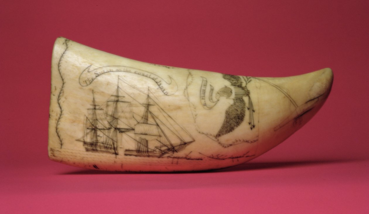 苏珊在日本海岸Scrimshaw（牙齿） 作者 美国学校