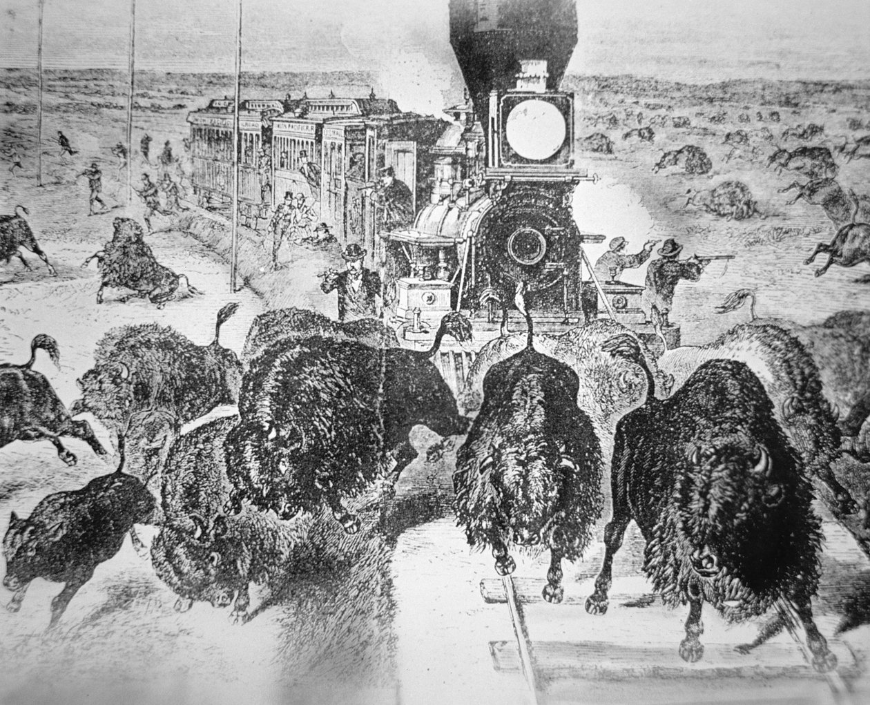 堪萨斯太平洋铁路上的火车乘客，在 1870 年代为运动拍摄水牛（石版画） 作者 美国学校