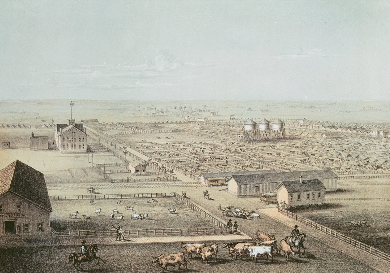 Union Stockyards，芝加哥 作者 美国学校