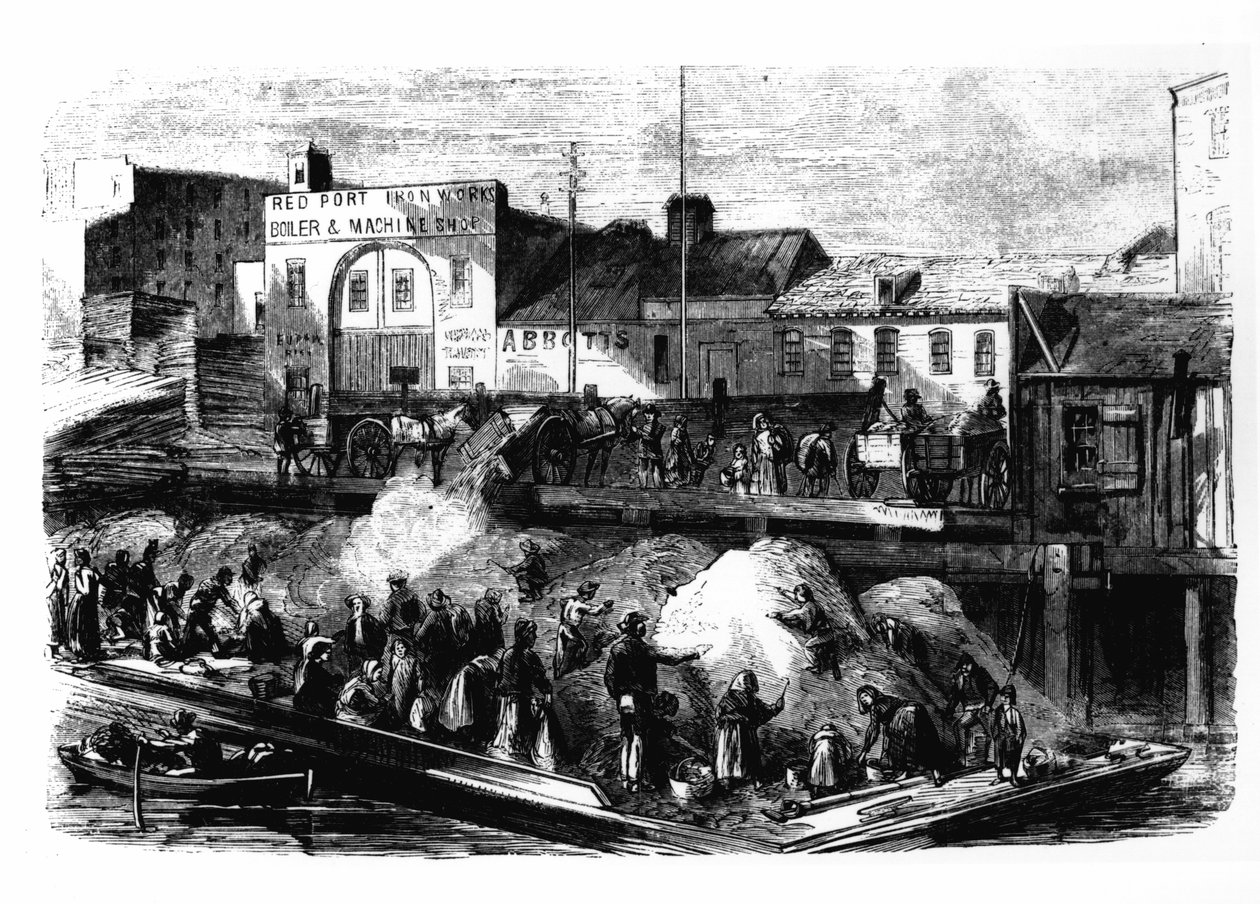 Vagrants选择破布从纽约海滩街垃圾场出售，1870年 作者 美国学校