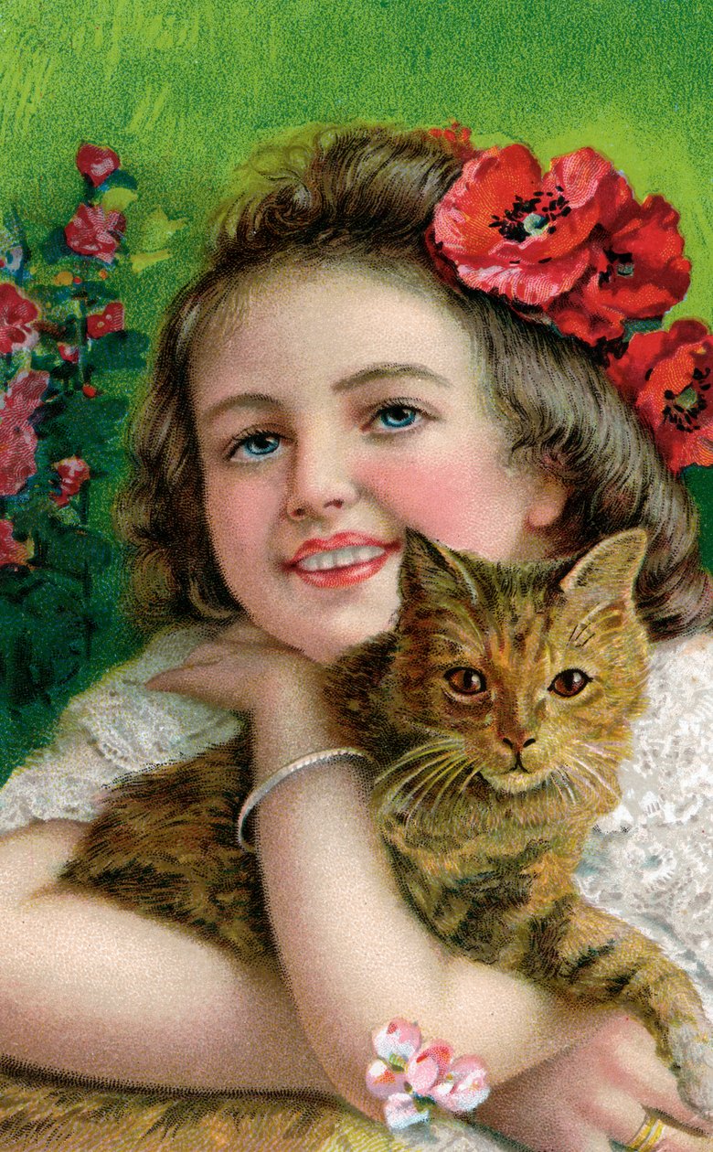 养宠物猫的维多利亚女孩 作者 美国学校