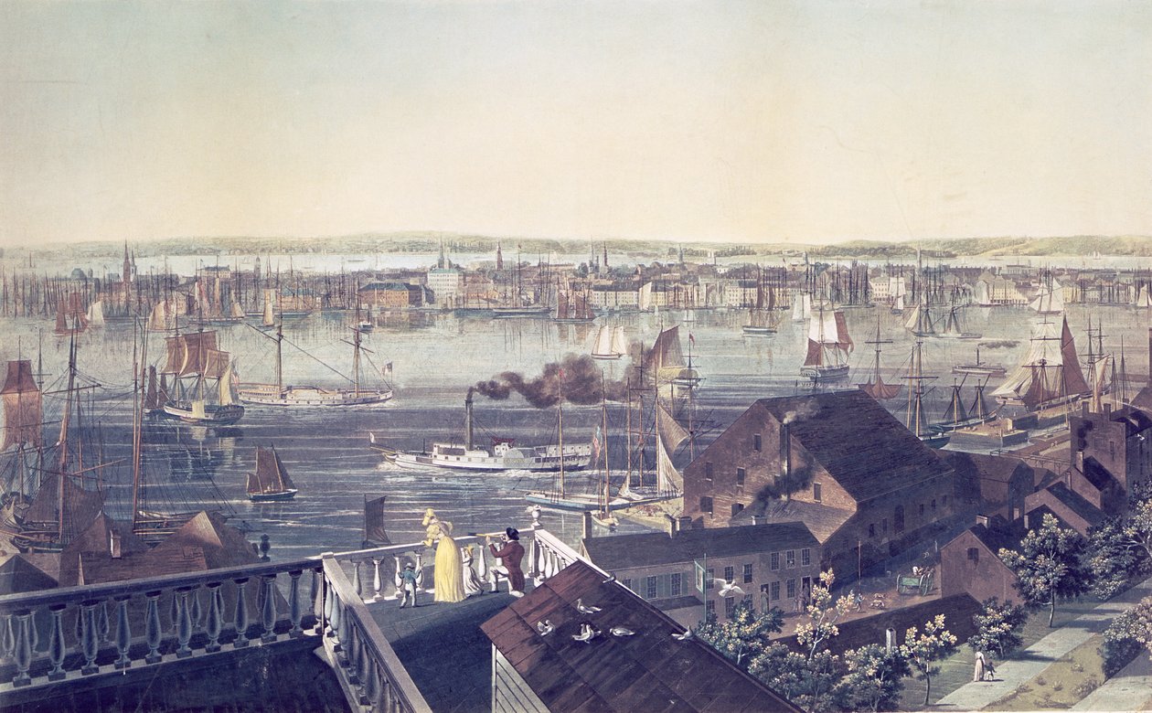 曼哈顿看法从布鲁克林，1837年 作者 美国学校