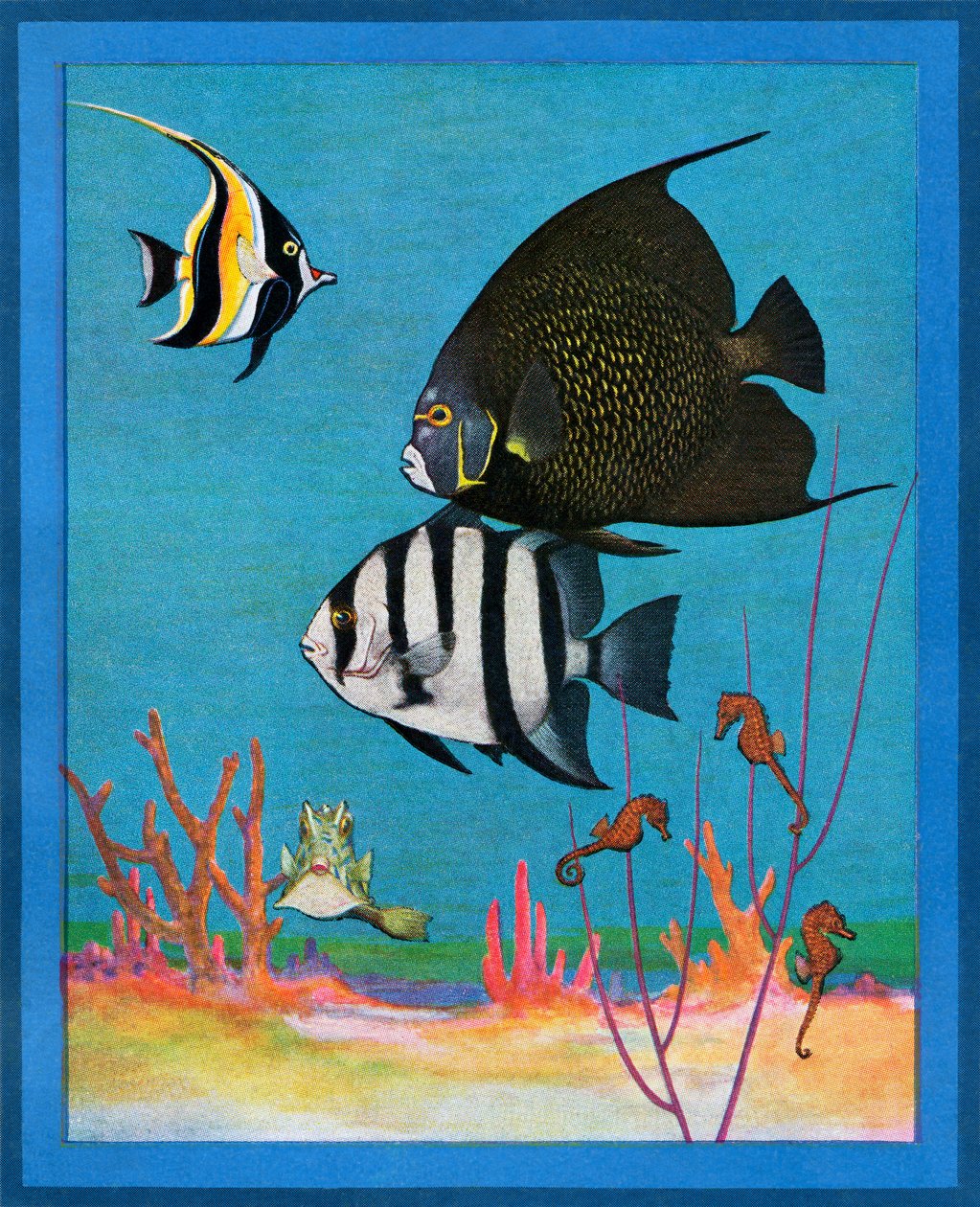 有热带鱼的海水水族馆复古版画 作者 美国学校