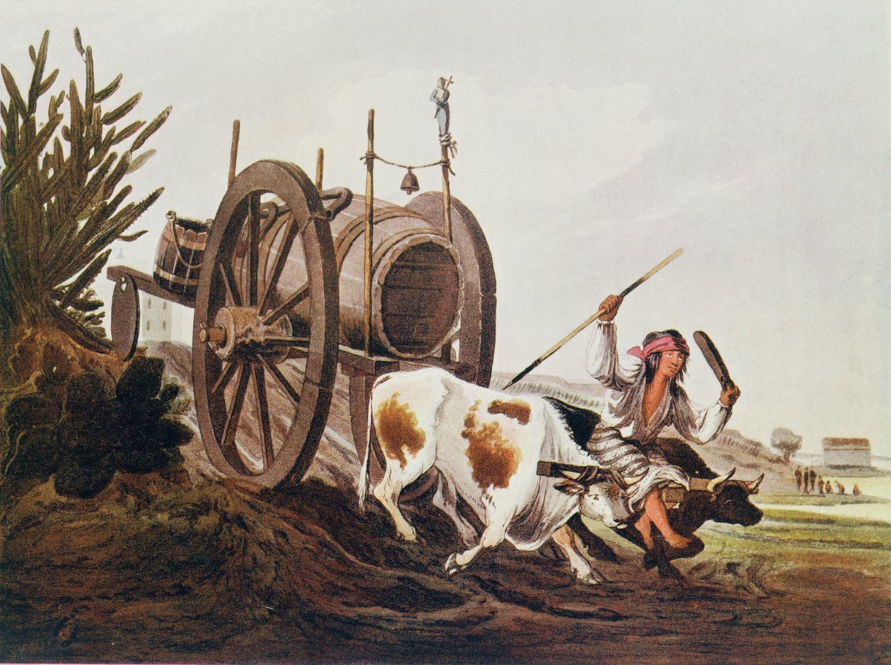 水车，从布宜诺斯艾利斯和蒙得维的亚的Vidals Picturesque插图再现，酒吧。 1820年，来自The River of River Plate，Vol。我，由WH Koebel，1914年 作者 美国学校