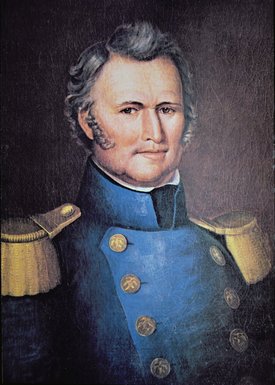 Zachary Taylor（彩色石版画） 作者 美国学校