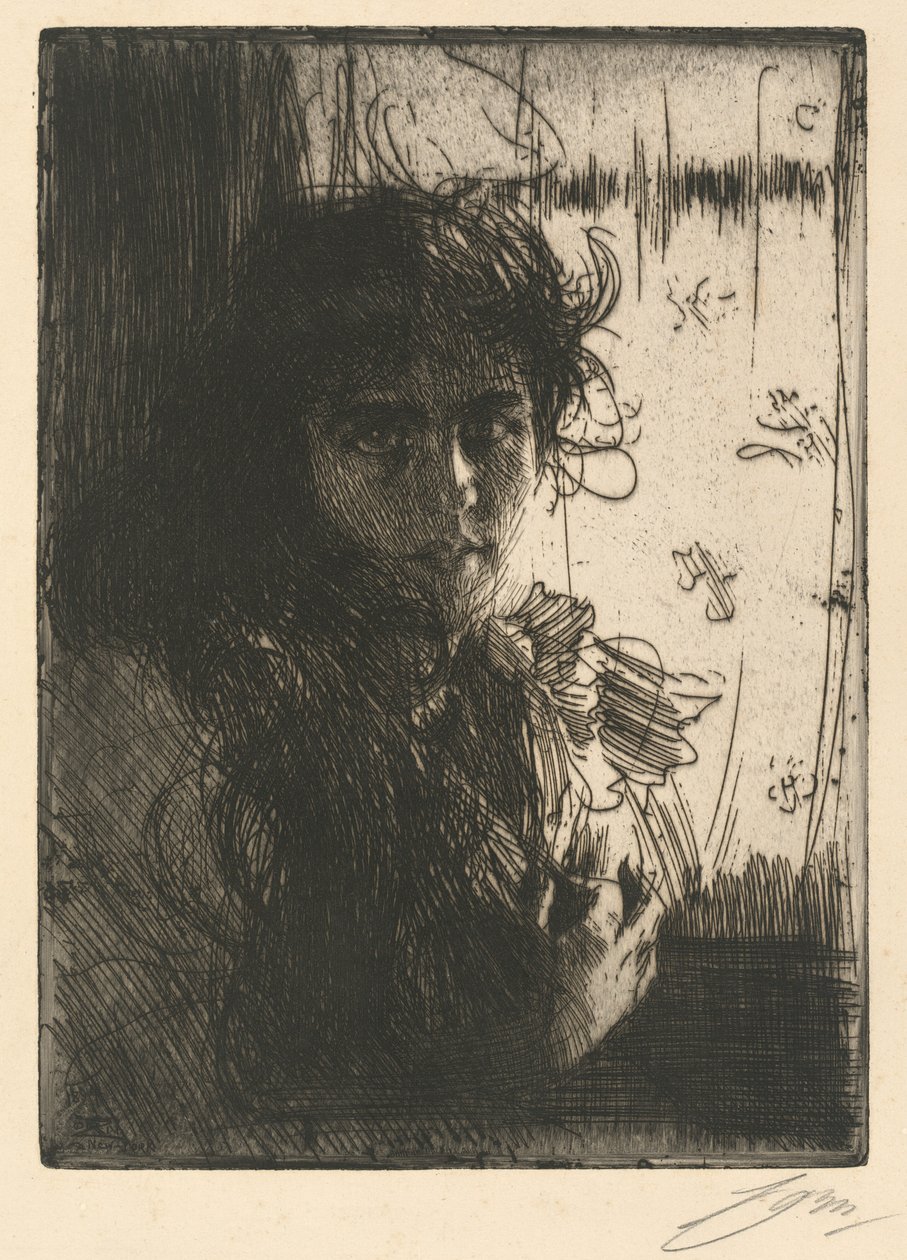 一个爱尔兰女孩》，1894年。 作者 伦纳德·佐恩与众不同