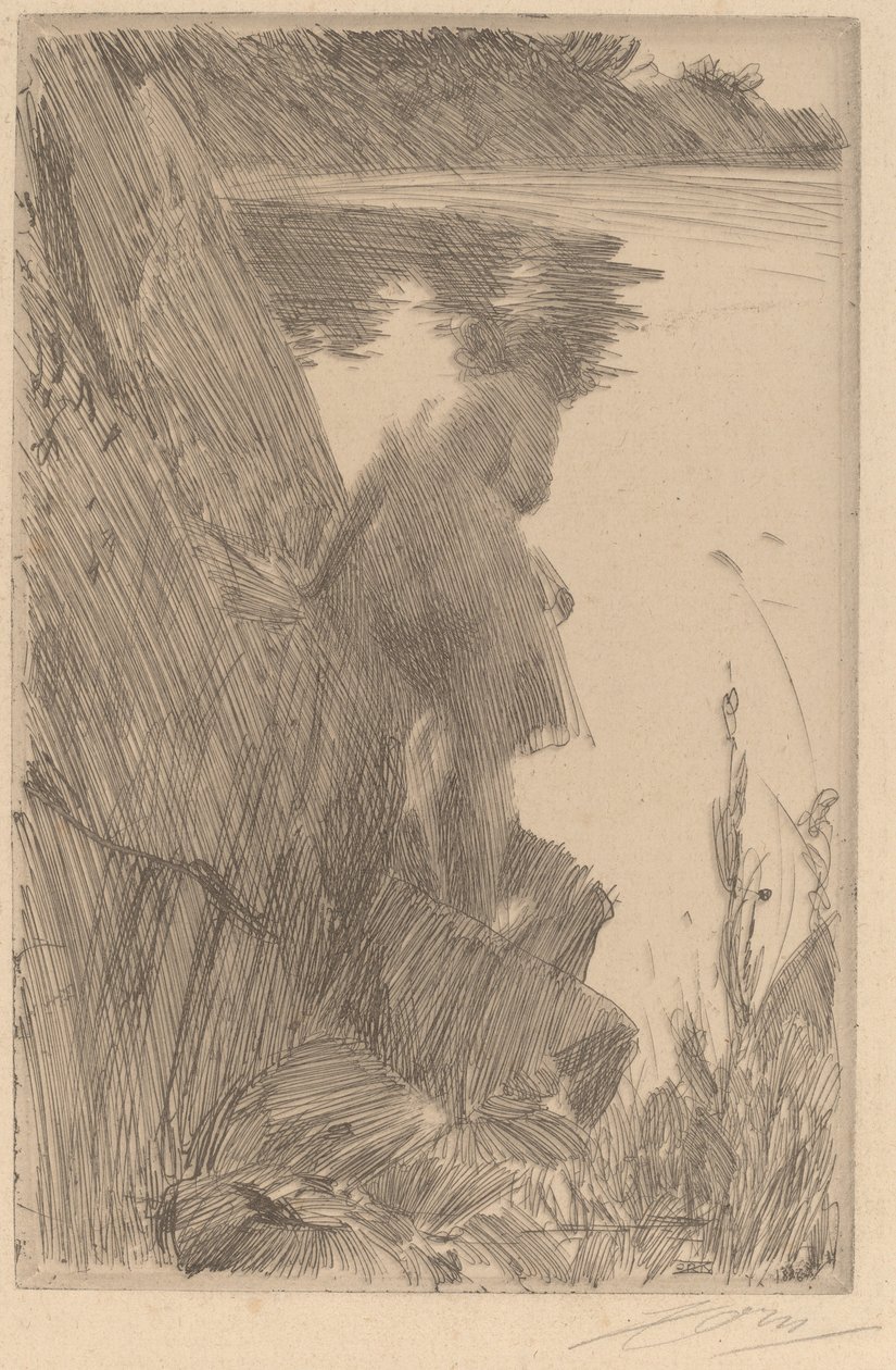 Bather III Baigneuse de Dos, 1896年。 作者 伦纳德·佐恩与众不同