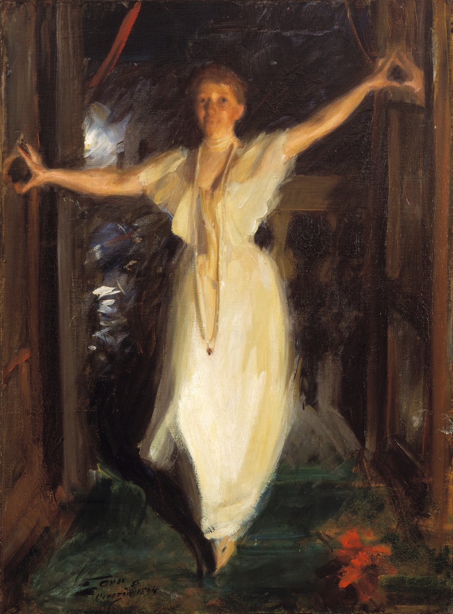 伊莎贝拉·斯图尔特·加德纳（Isabella Stewart Gardner），1894年在威尼斯 作者 伦纳德·佐恩与众不同