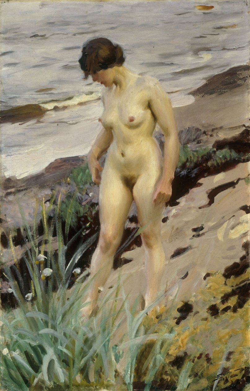 Sandhamn研究，1914年 作者 伦纳德·佐恩与众不同