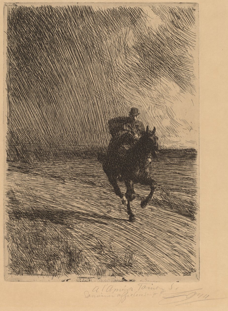 Storm L
