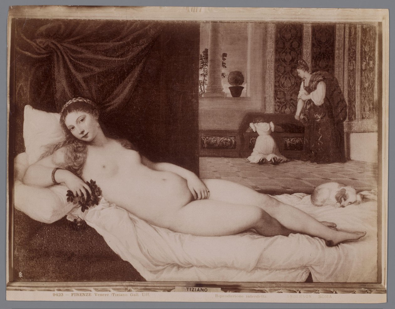 提香画作《乌尔比诺的维纳斯》的摄影再现
Firenze, Venere (Tiziano Gall. Uff.) (作品名称) 作者 安德森（公司）