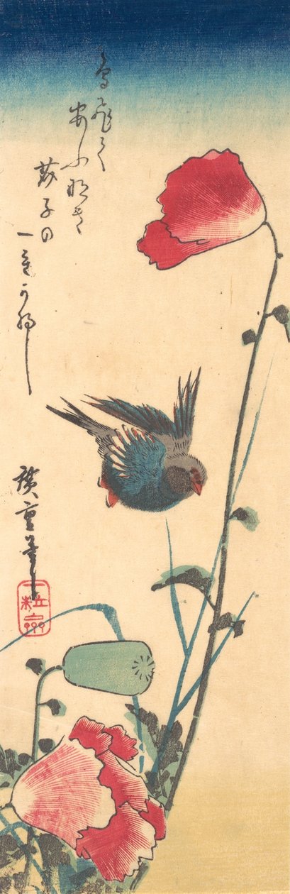 A Bluebird and Poppies, 1832-34., 1832-34. 作者 安藤广重