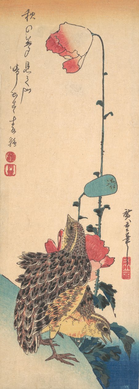 一对鹌鹑和罂粟花，约1835年，约1835年。 作者 安藤广重