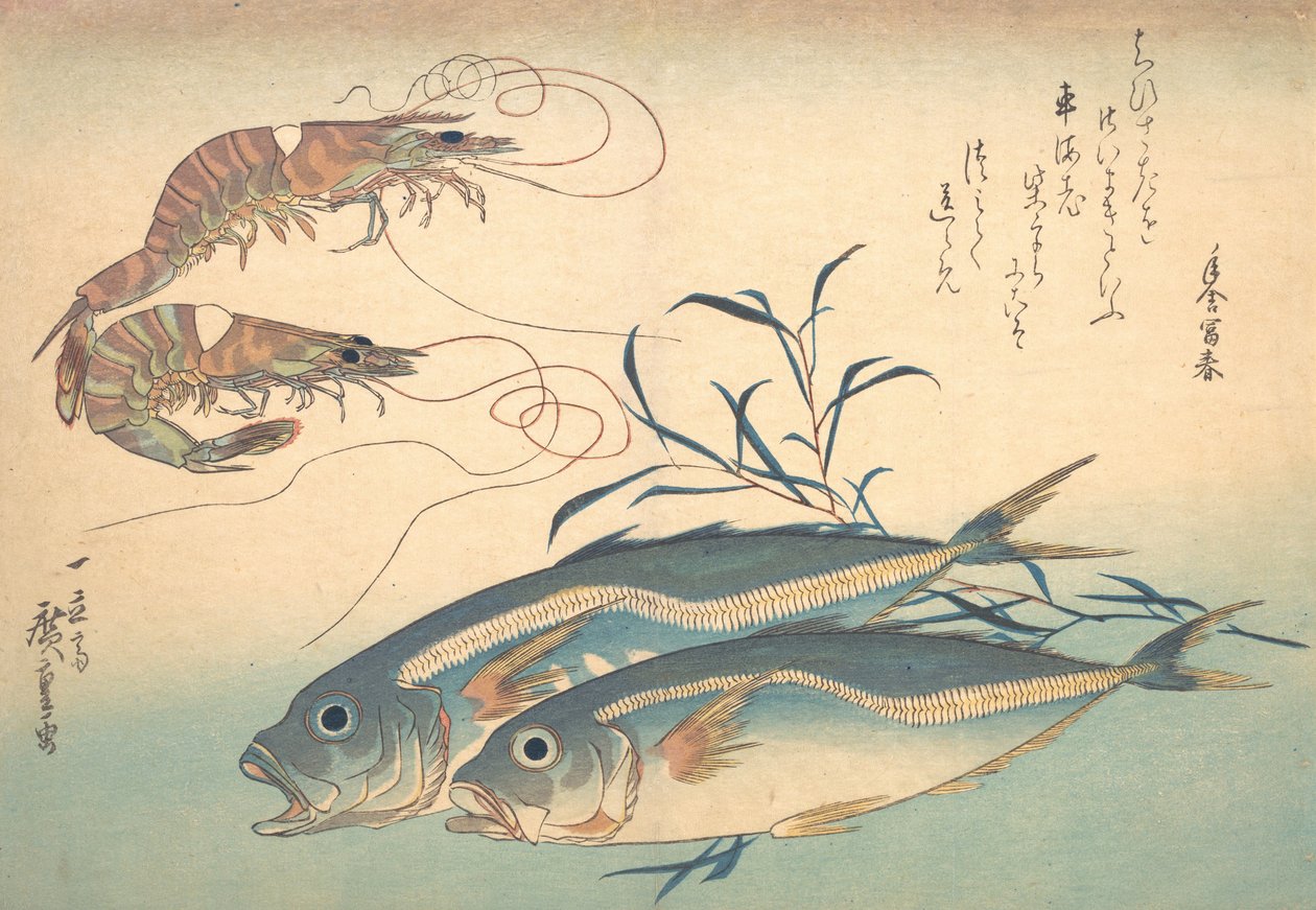 Aji鱼和Kuruma-ebi，来自Uozukushi Every Variety of Fish系列，19世纪30年代。 作者 安藤广重
